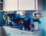 Derek Henderson, Untitled (Still Life with Roses), type C print