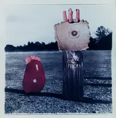 Untitled by Ava Seymour, type C print, sold Feb 2019