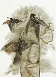 Suzanne Goldberg, 3 Birds, oil on board