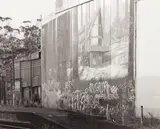 Allan McDonald, Glen Eden Railway, type C print