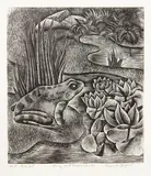 Rona Ina Dyer, Frog and Waterlilies, wood engraving, A.P. edition of 25