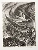 Rona Ina Dyer, Cormorant, wood engraving, A.P. edition of 25