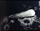 He huia tu rae, a huia plume on my brow (horizontal), […] by Fiona Pardington, mural scale gelatin silver print, 1/3 (2003), sold Nov 2018