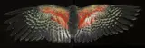 Davis Kea Wings by Fiona Pardington, archival inkjet print on Hahnemuhle paper, diptych, 2015 (edition of 10), sold Nov 2018