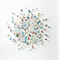Lianne Edwards, Breakout, postage stamps, stamp hinges and insect pins