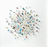 Lianne Edwards, Breakout, postage stamps, stamp hinges and insect pins