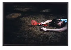 Roberta Thornley, Forest, type C photograph mounted on aluminum, 1/3