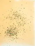Elliot Collins, Untitled, gesso, paper and resin on board