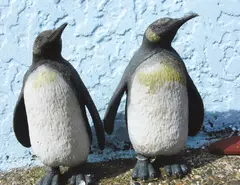 Penguins by Peter Peryer, pigment ink on Hahnemuhle Photo-rag paper, 1/10, offered Oct 2018