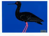 Denys Watkins, Kaki