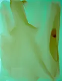 Dale Frank, Untitled