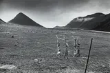 Les Wesney, (Rabbits) Moke Lake, gelatin silver print