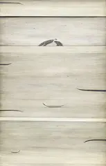 Simon Kaan, Untitled, oil on board