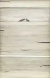 Simon Kaan, Untitled
