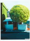 Josh Lancaster, Prego, lithograph, 2/10