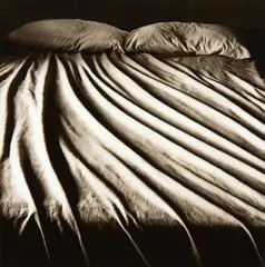 Bed by Anne Noble, gelatin silver print, 1982, sold Jul 2018