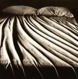 Anne Noble, Bed