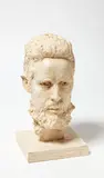 Sam Harrison, Self, plaster