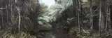 Jennifer French, Piha, hand-coloured photograph