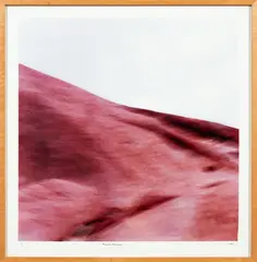 Danielle Thompson, Landscape, lightjet print, 3/15