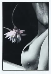 Sally Tagg, Flower of Light – Hine, hand-coloured black and white photo, A/P