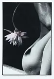 Sally Tagg, Flower of Light – Hine, hand-coloured black and white photo, A/P