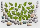 Mark Wooller, Vessel