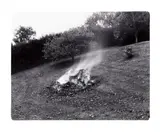Marie Shannon, Garden Fire
