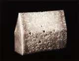 Marie Shannon, The House of Parmesan