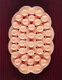 Gavin Hipkins, The Oval, unique type C photograph (1988)