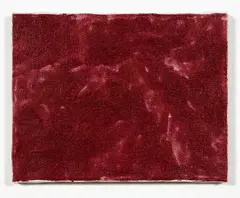 Mikala Dwyer, Blackberry, nail polish on canvas