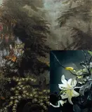 John Young, French Wallpaper Flower Study #2