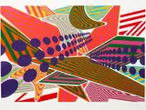 Sara Hughes, Data Attraction 1, screenprint, 1/25