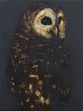 David Noonan, OWL