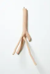 Louise Weaver, Venus Return, hand crocheted cotton thread over figtree branch, 1996