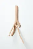 Louise Weaver, Venus Return, hand crocheted cotton thread over figtree branch, 1996
