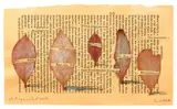 Patrick Pound, planting in a  city of words, graphite, found leaves and collage