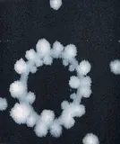 Luise Fong, Untitled, Melbourne