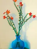 Michael Smither, Orange Flowers in Blue Vase, oil and alkyd on board