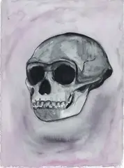 Ricky Swallow, Purple Skull II, watercolour (2001)