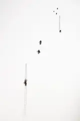 Elizabeth Thomson, Climbers (Party of Eight), bronze, patina and wax (2013)
