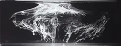 Medusa by Joyce Campbell, gelatin silver fibre-based handprint, 3/7 (2002), offered Apr 2018