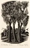 Ernest Mervyn Taylor, Ti Kouka, wood engraving, edition of 40