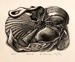 Shells by Ernest Mervyn Taylor, wood engraving, edition of 24, sold Mar 2018