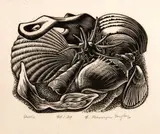 Ernest Mervyn Taylor, Shells, wood engraving, edition of 24