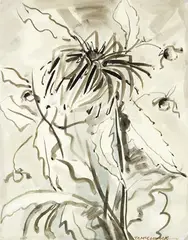 T. A. McCormack, Anemones, ink and wash on paper