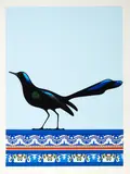 Don Binney, Grackle, Veracruz