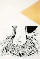 Kate Coolahan, Nikau Roots and Tin Roof, etching, 1/7