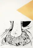 Kate Coolahan, Nikau Roots and Tin Roof, etching, 1/7