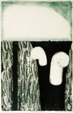 Malcolm Warr, Punga Regenerating, monoprint